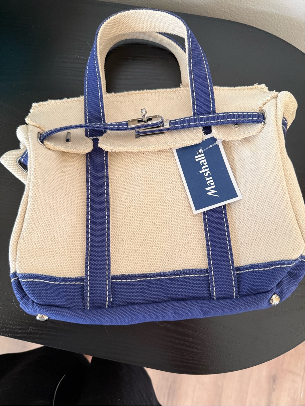 Sunwin Boatkin Beige and Blue Canvas Tote Bag